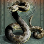 Аватара пользователя