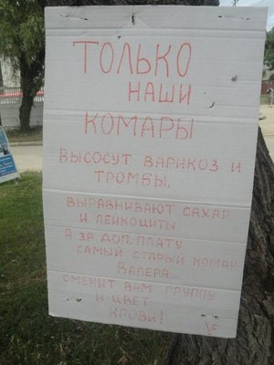 valera.jpg (48.57 КБ) 16780 просмотров valera.jpg