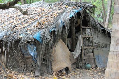 В таких лачугах иногда живут люди